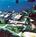 Best Western Crystal River Resort::Orbitz