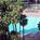 Radisson Hotel at Los Angeles Airport, CA::Hotels.com