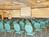 York-Days Inn Conference Center from Priceline.com