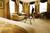 InterContinental Stephen F Austin::Orbitz