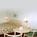 Day Plaza Inn Metropolis::ProfessionalTravelGuide.com
