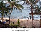 Pahala Plantation Cottages