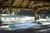 Best Western Ponderosa Lodge::Expedia