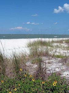 Web-14873-beach-1