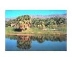 Dos Palmas Preserve Recreation Management Area