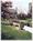 Eastland Suites Hotel And Conference Center::ProfessionalTravelGuide.com