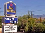 Best Western Siesta Motel