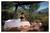 Westward Look Resort::GordonsGuide.com
