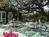 Bandera Creek Guest Cottage::Yahoo! Travel