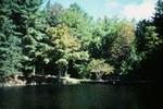 Granville State Forest::ReserveAmerica.com