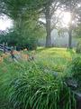 Painter Cemetery: Blue Ridge Parkway