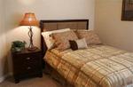 THE SPRINGS MESQUITE