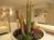 3 Palms Resort Oasis::Orbitz