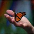 Bear Mountain Butterfly Sanctuary
