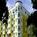 Mediterranean Inn::Travelocity.com