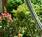 Resort Suites of Scottsdale::Orbitz