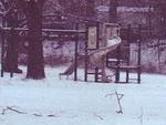 Pattison Park