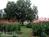 Burke Manor Inn::BedAndBreakfast.com