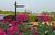 Best Western Coastline Inn::Expedia