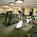 Courtyard by Marriott Meadowlands Secaucus::ProfessionalTravelGuide.com