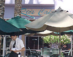 Ric's Cafe::Yahoo! Travel