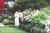 Mill Rose Inn::BedAndBreakfast.com