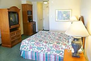 Hilton Garden Inn New Orleans Airport::Expedia