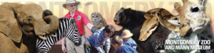 Montgomery Zoo::Montgomeryal