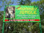 Monkey Jungle