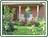 Cali Cochitta Bed & Breakfast::BedAndBreakfast.com
