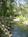 Sequoia River Dance Bed and Breakfast::BedAndBreakfast.com
