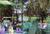 Innisbrook Resort & Golf Club, Copperhead Course::ProfessionalTravelGuide.com