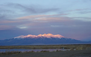 Web-11_15_20sangres0002
