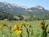Holiday Inn Express Hotel & Suites Gunnison::ProfessionalTravelGuide.com
