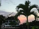 Rainbow Plantation Bed and Breakfast