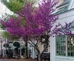 Notch Estates Nightly Rentals, Llc