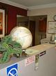 Sunshine Motel