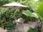 Santa's By The Sea::BedAndBreakfast.com
