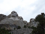Tn-395431780_8d6aff53a1_m