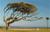 Oceanside Inn and Suites::Orbitz
