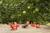 Brookside Inn::BedAndBreakfast.com