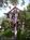 Peace and Plenty Inn::BedAndBreakfast.com