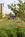 Hilton Garden Inn Columbus Grove City::Expedia