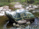 Tn-rio_turtle2006