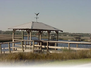 Pawleys Island::Townofpawleysisland.com