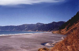 Web-sheltercovebeach