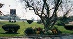 Knights Inn