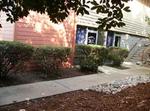 Revive Therapy Massage of Sacramento