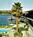 Lake Tulloch Resort::Hotels.com