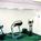 Fairfield Inn by Marriott Bowling Green::Orbitz